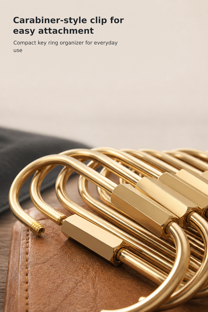 Locking Carabiner Keychain with Screw Closure